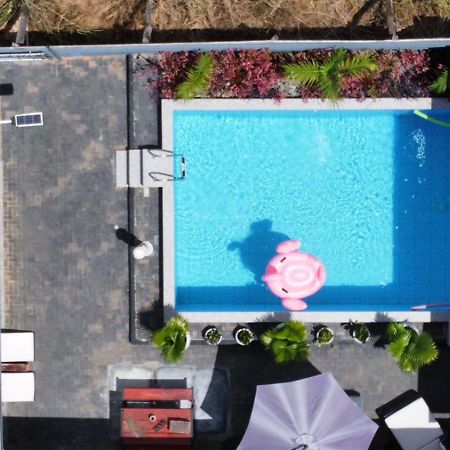 Tropical Appartement Paramaribo Kültér fotó